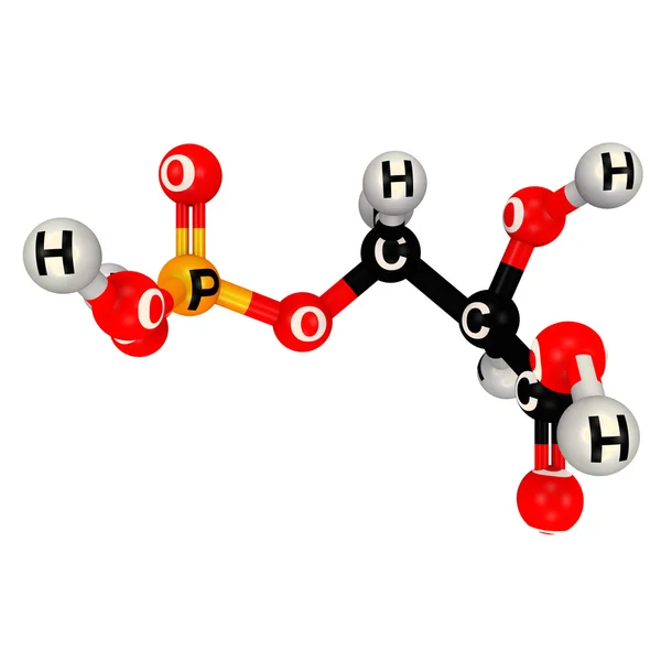 Bisphosphoglycerate chemical formula, structure — 스톡 사진