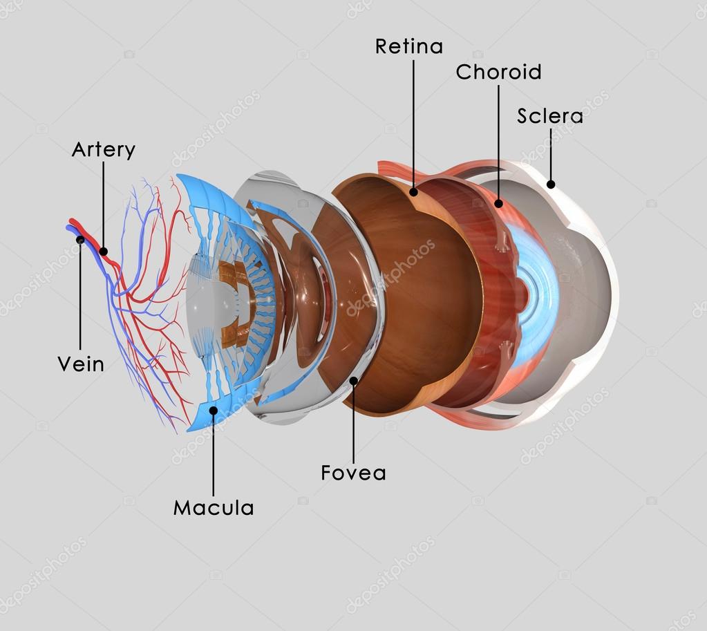 sciencepics