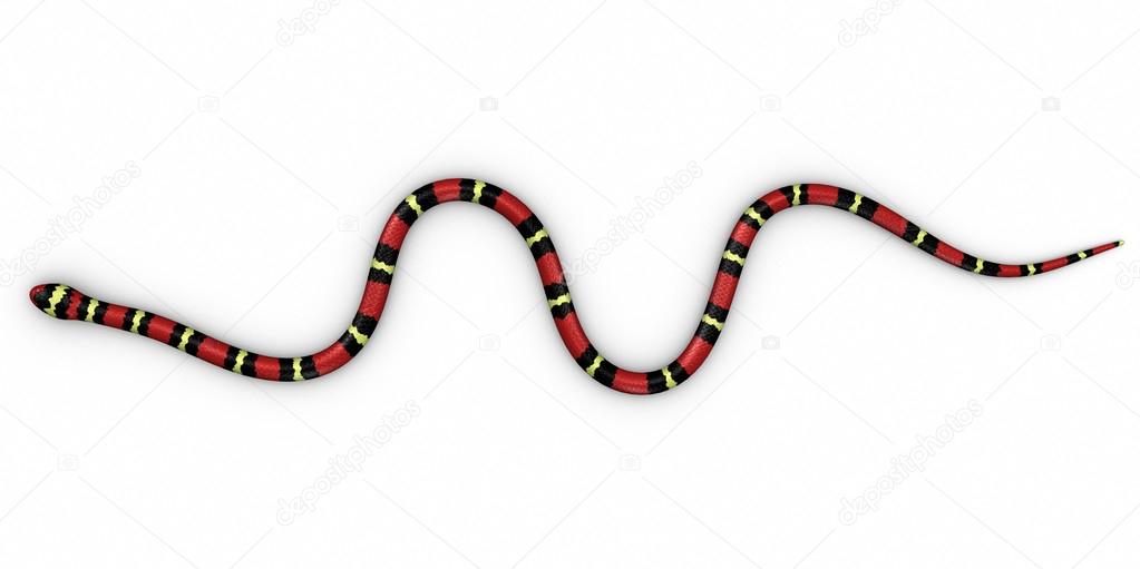Colorful Coral snake