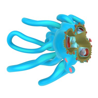 Glomerulusnephritis böbrek hastalığı