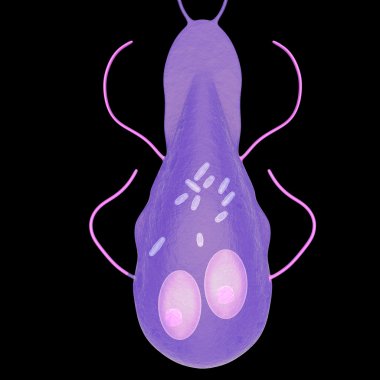 Flagellates cell, bacteria clipart