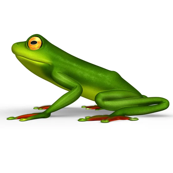 녹색 개구리를 플 라 잉 — 스톡 사진