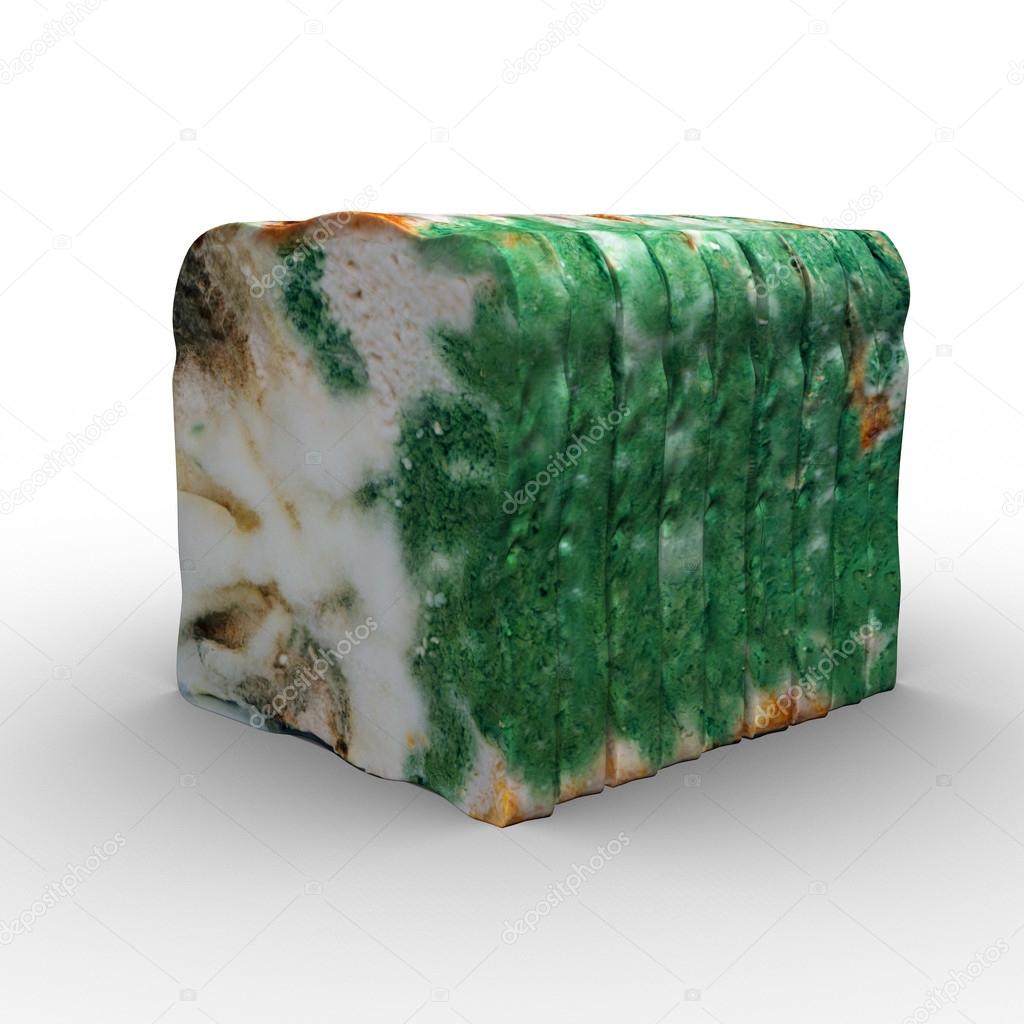 Mould on white  bread
