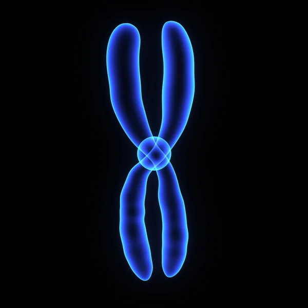Chromosome x-ray image — Stock Photo, Image