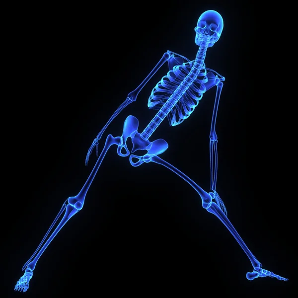 人体膝关节 — 图库照片