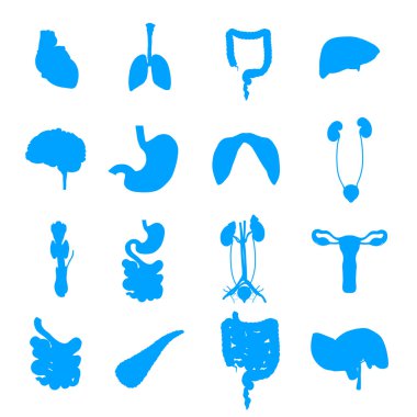 Human Organs collection, symbols