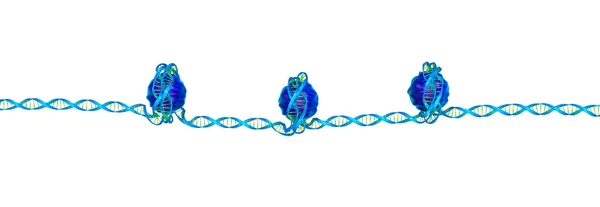 Nucleossomo, embalagem de ADN — Fotografia de Stock