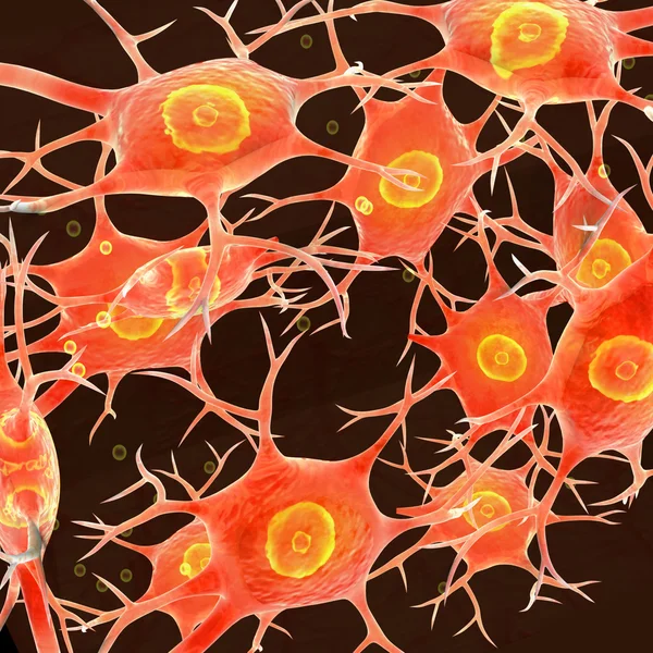 Human Neural Tissue — Stock Photo, Image