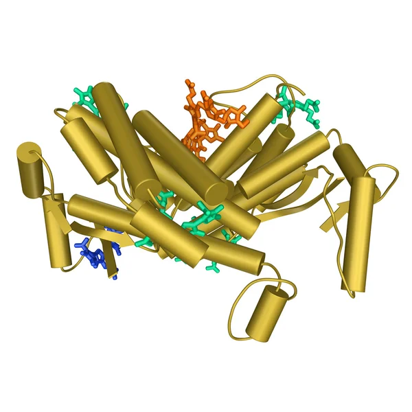 Phycocyanin molecular structure — Stock Fotó