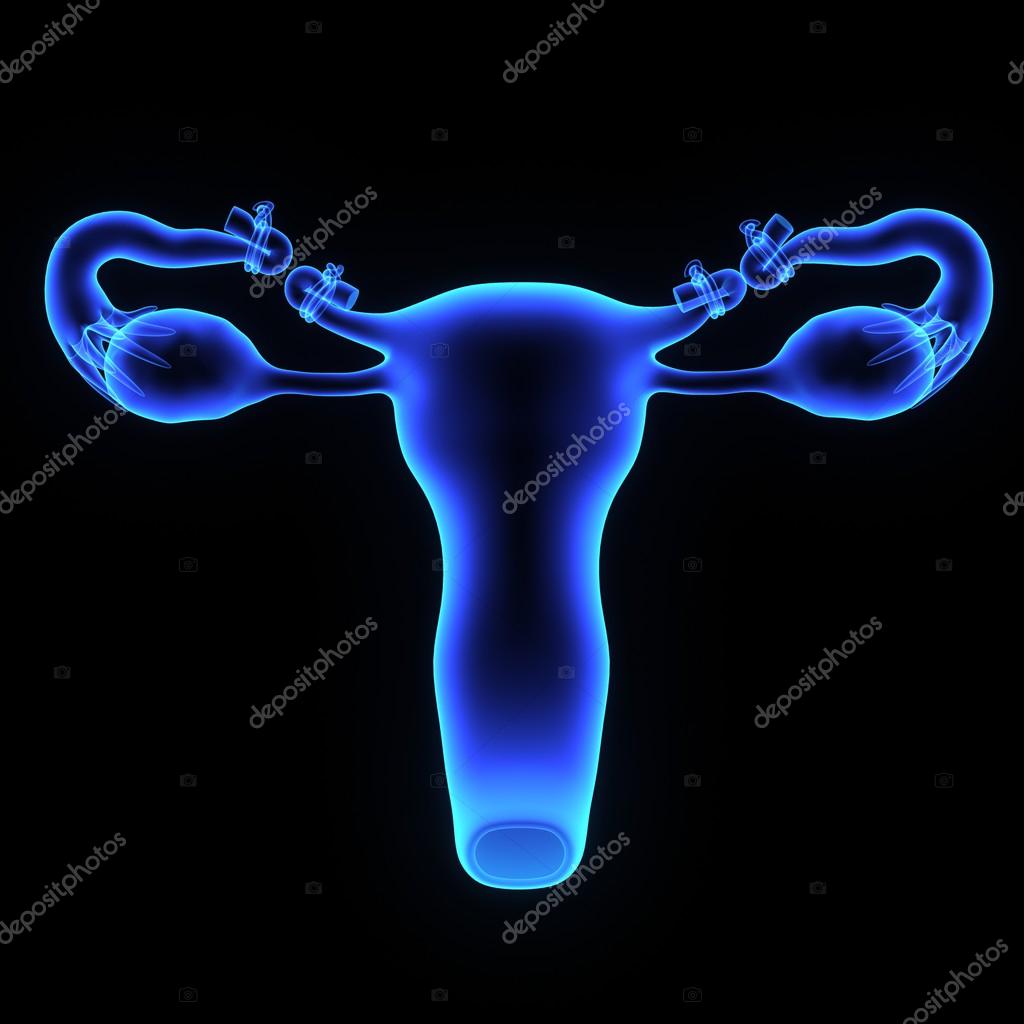 Tubectomy, fallopian tubes intervention Stock Photo by ©sciencepics 75128345 Tubectomy, fallopian tubes intervention Stock Photo by ©sciencepics 75128345
