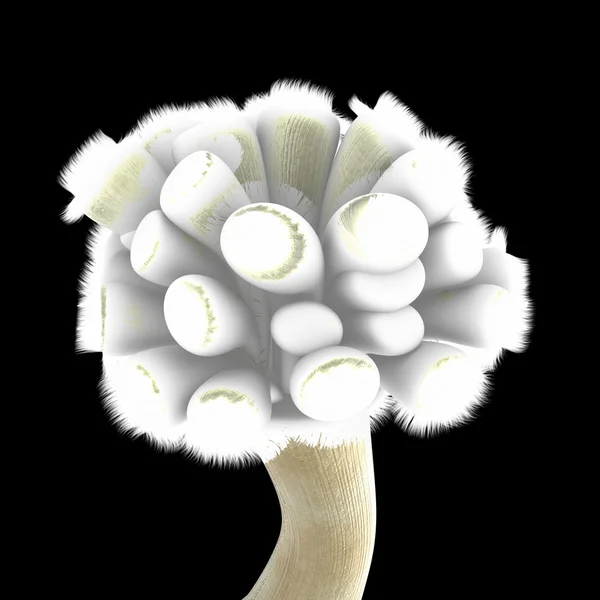 Metridium моря anemone — стокове фото