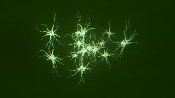 Neurons medicine science animation — Stock Video