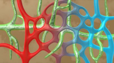 Lenf tıp bilim animasyon