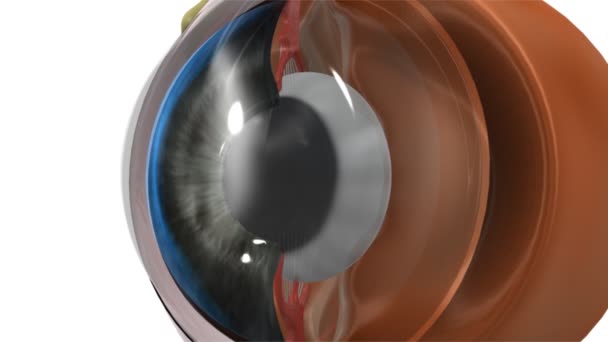 Eye lens medicine animation