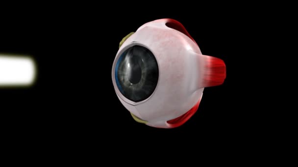 Глаз регулирует анимацию медицины — стоковое видео