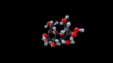 Antosiyanin bilim animasyon