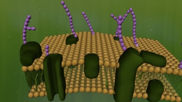 Animação científica do citoplasma — Vídeo de Stock