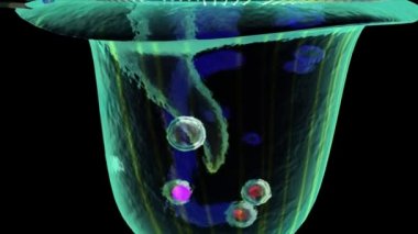 Vorticella karanlık animasyon üzerinde