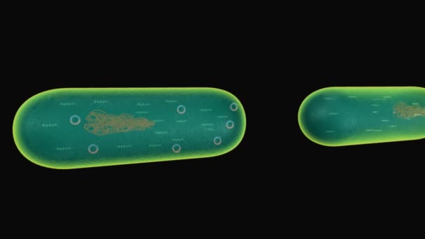 Estrutura bacteriana verde — Vídeo de Stock