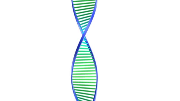Struttura del DNA umano — Video Stock