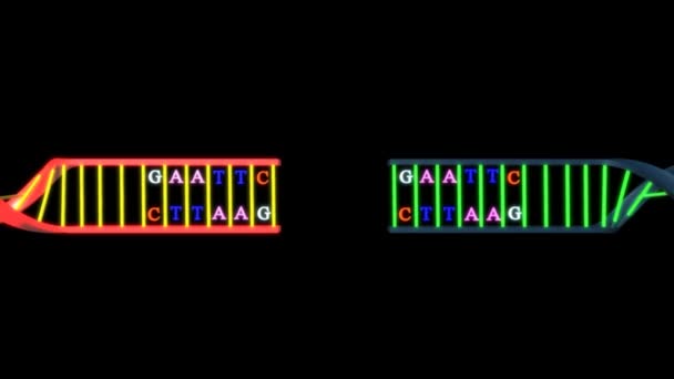 Ricombinante su animazione scura — Video Stock