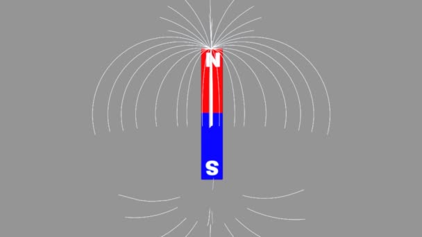 Bar magnet animation — Stock Video