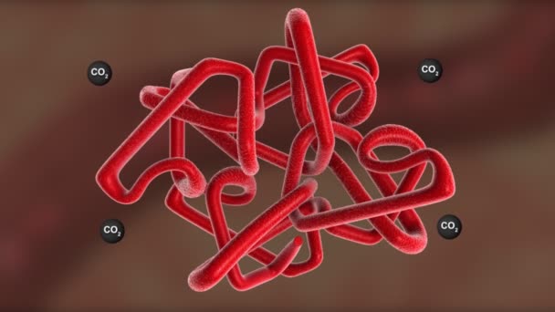 Hemoglobinu koncepce animace — Stock video