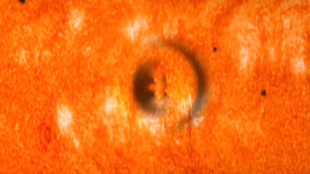 Wissenschaftliche Animation zum Sonnenbeben — Stockvideo