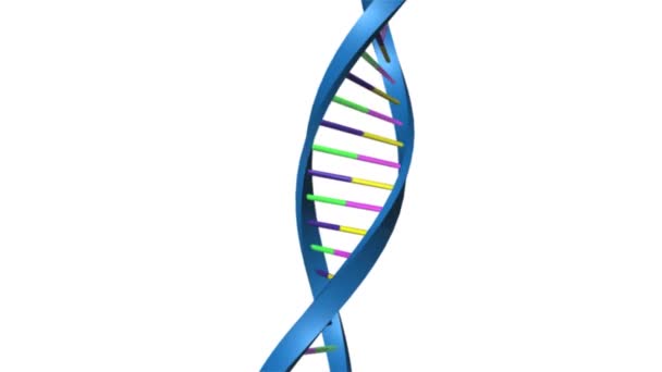 Protein syntes animation — Stockvideo