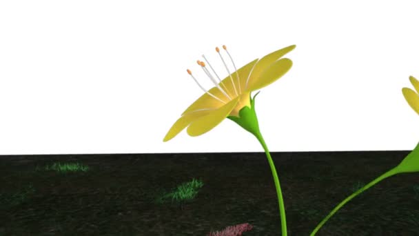 Autoimpollinazione di fiori — Video Stock