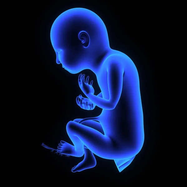 Младенец в утробе матери на черном — стоковое фото