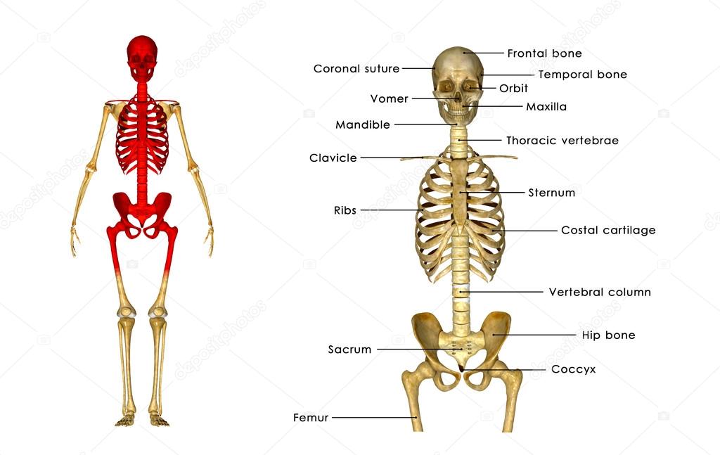 sciencepics