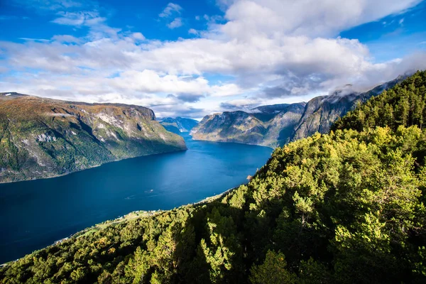 Summer Comes Norwegian Fjords — Stock Photo, Image