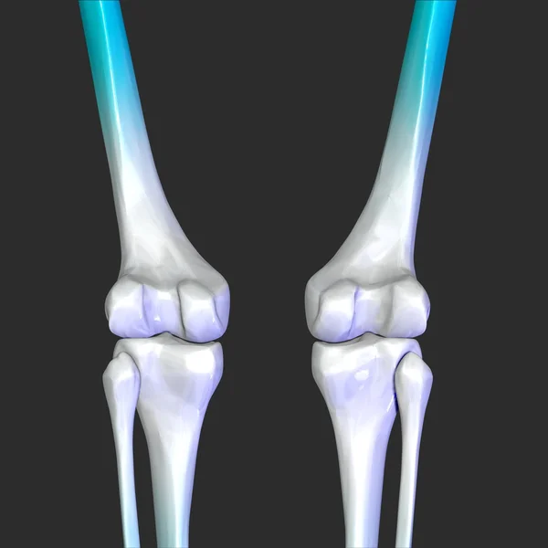 Skeleton Knees — Stok fotoğraf