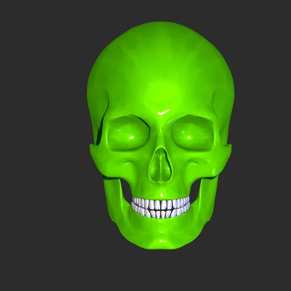 Skull — Stock Photo, Image