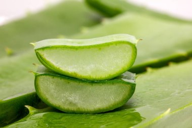 Aloe vera bitkisinin parçaları.