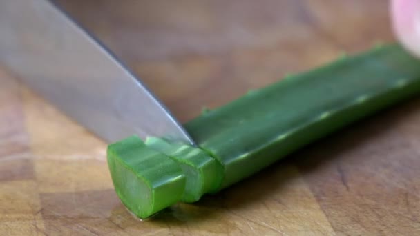 Aloe Vera Viene Tagliata Piccoli Pezzi Una Tavola Legno — Video Stock