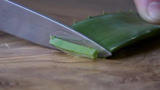 Aloë Vera Wordt Kleine Stukjes Gesneden Een Houten Plank — Stockvideo