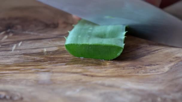 Aloes Vera Czytuje Krojony Malych Kawałeczkach Drewnianej Desce — Wideo stockowe