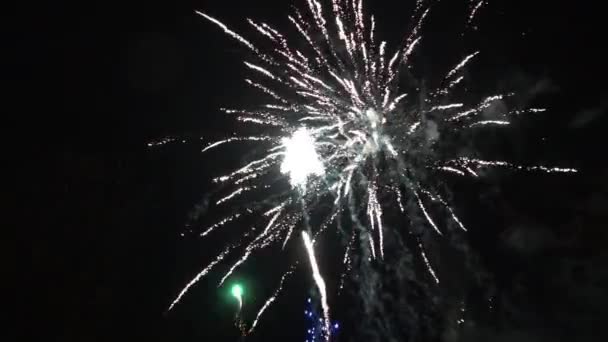 Beau Feu Artifice Soir Nouvel — Video