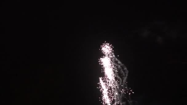 Een Mooi Vuurwerk Oudejaarsavond — Stockvideo