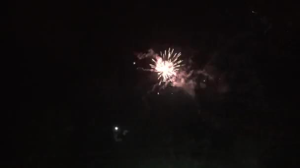 Nice Firework New Year Eve — стоковое видео