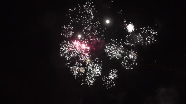 Belo Fogo Artifício Véspera Ano Novo — Vídeo de Stock