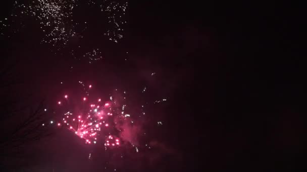 Buen Fuegos Artificiales Víspera Año Nuevo — Vídeo de stock