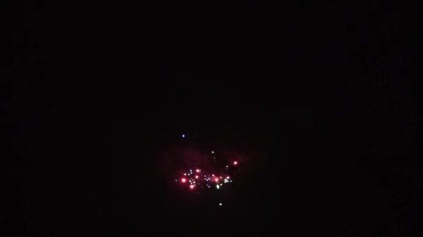 Een Mooi Vuurwerk Oudejaarsavond — Stockvideo