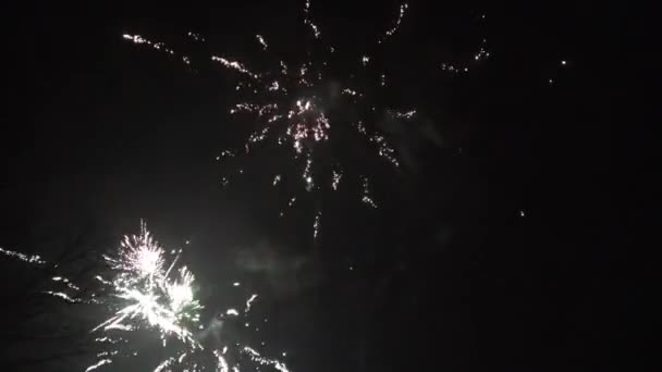 Egy Szép Tűzijáték Ami Hátrafelé Fut — Stock videók