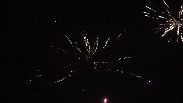Egy Szép Tűzijáték Ami Hátrafelé Fut — Stock videók