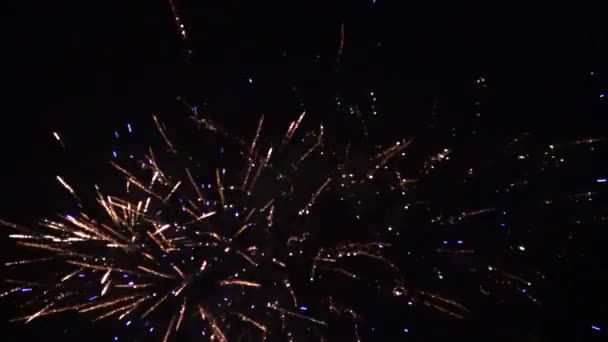 Egy Szép Tűzijáték Szilveszterkor — Stock videók