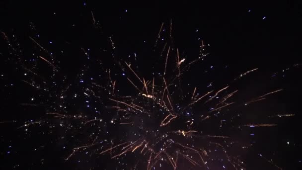 Bonito Fuegos Artificiales Que Corre Hacia Atrás — Vídeo de stock