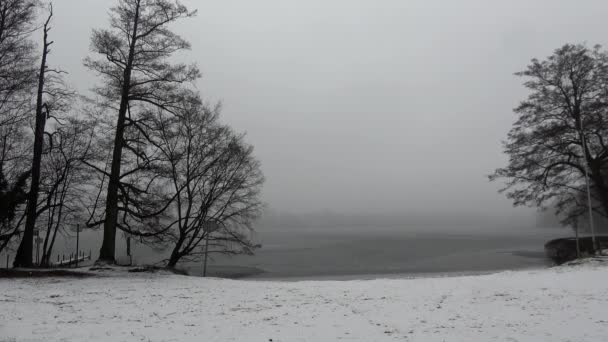 Παγωμένη Λίμνη Χειμώνα — Αρχείο Βίντεο